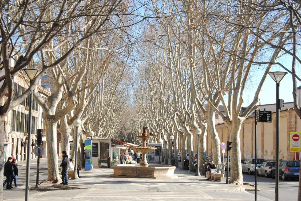 Cream Homes La Rambla, Turismo De Interior Пальма-де-Майорка Экстерьер фото